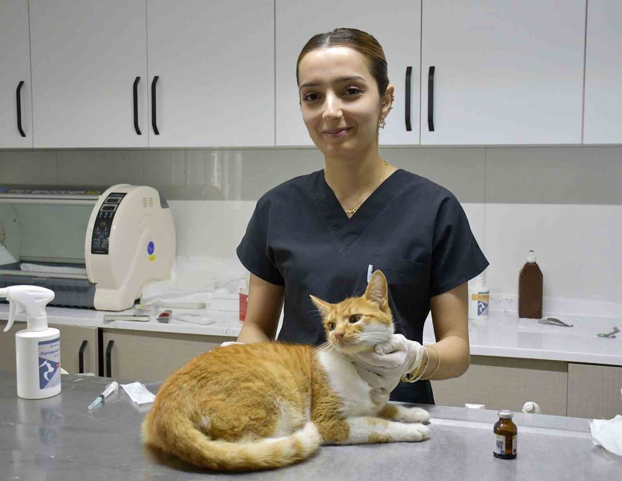 DAVUTLAR KEDİ KISIRLAŞTIRMA MERKEZİ’NDE HİZMETE GİRDİĞİ GÜNDEN BU YANA BİN 797 SOKAK KEDİSİ TEDAVİ...