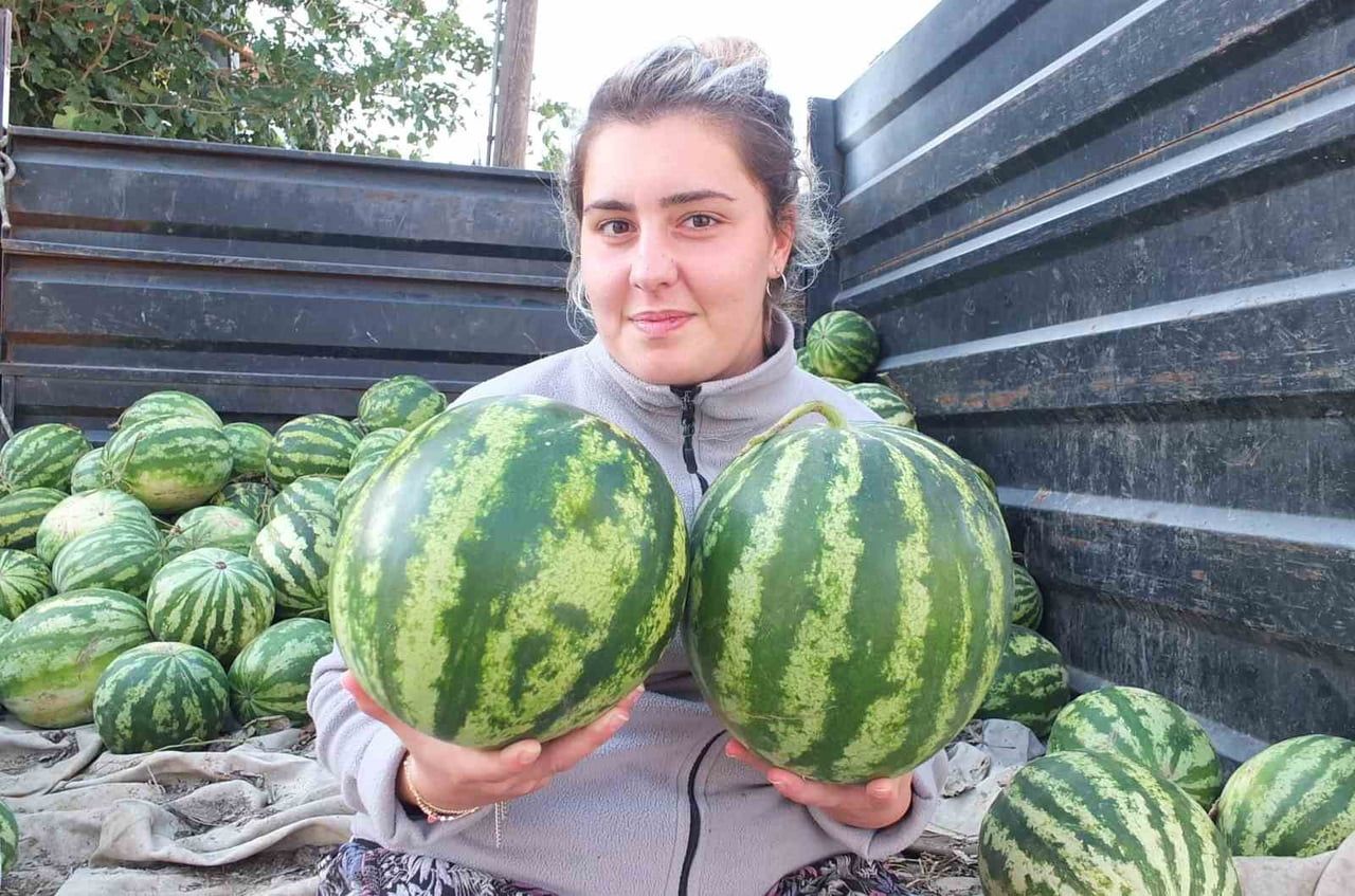 GÜZ KARPUZU VE ZEYNEP ÖRMÜŞ