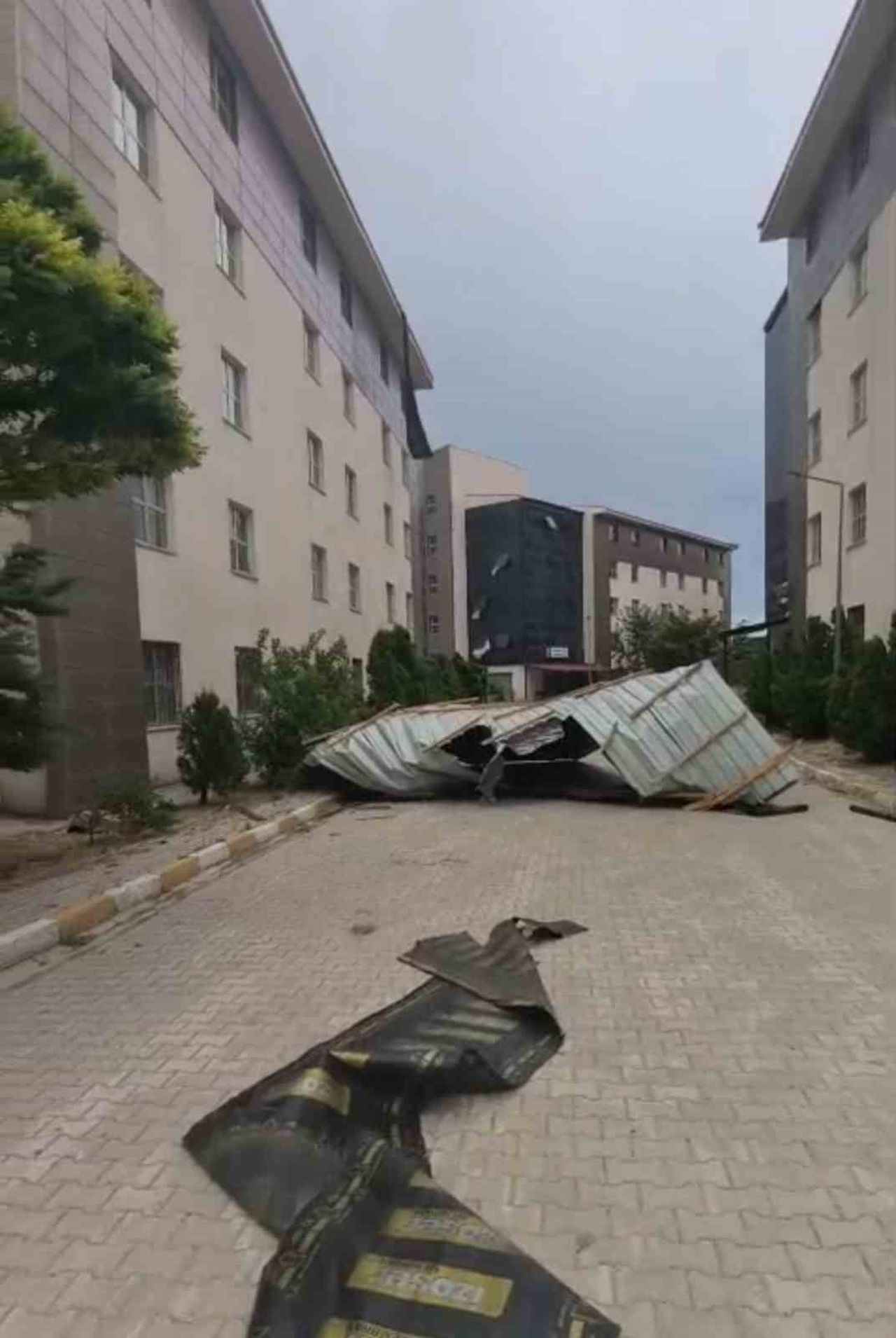VAN’DA ETKİLİ OLAN ŞİDDETLİ RÜZGAR NEDENİYLE ÇOK SAYIDA AĞAÇ DEVRİLİRKEN, BAZI BİNALARIN ÇATILARI...