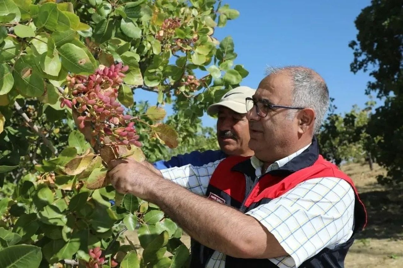 HASAT PROGRAMINA KATILAN İL TARIM VE ORMAN MÜDÜRÜ SAADETTİN TAŞKESEN VE TEKNİK PERSONEL...