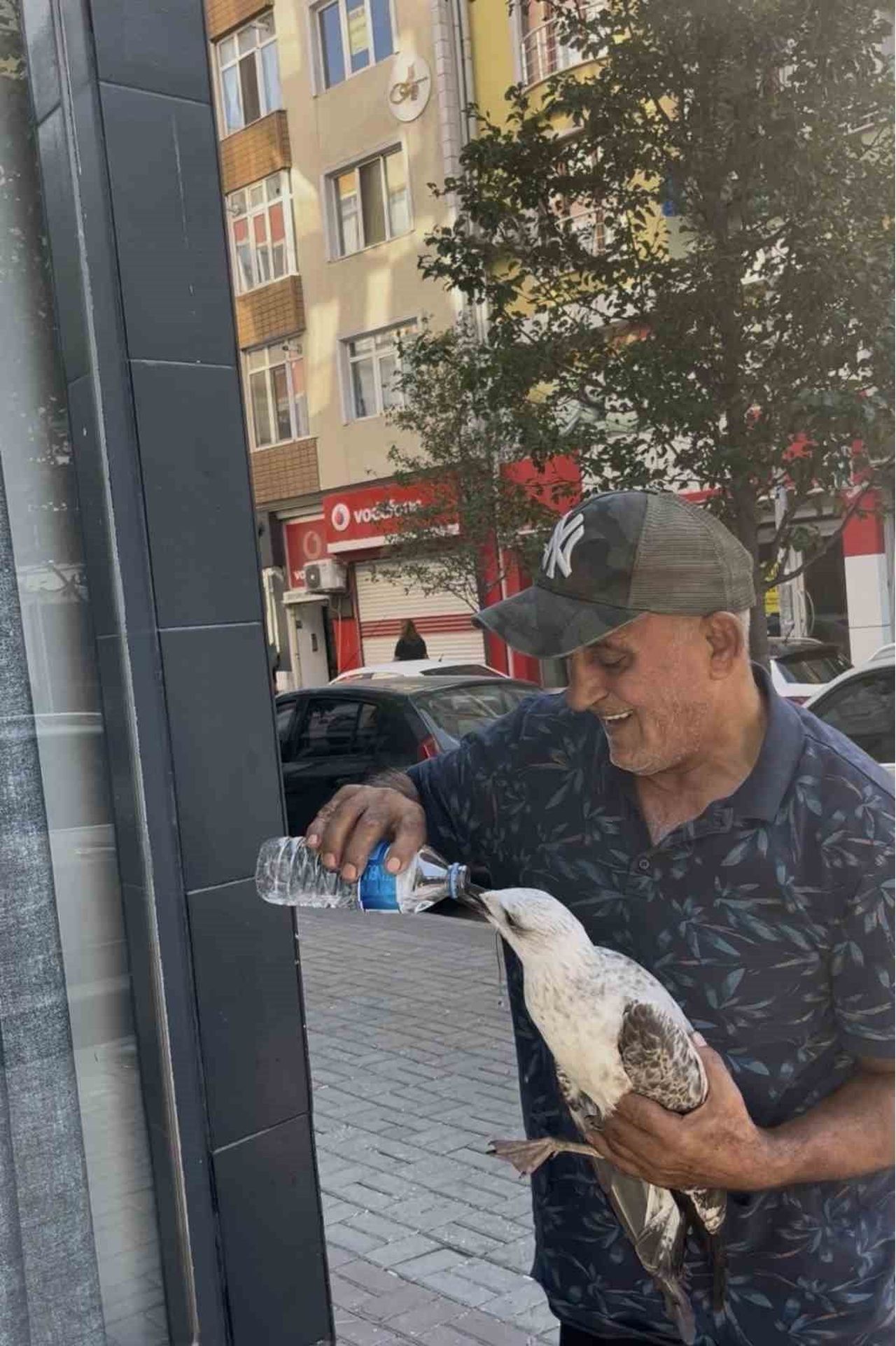 ÇORLU'DA SICAKTA BİTKİN DÜŞEN MARTIYI KUCAĞINA ALIP SEVEREK DUYARLILIK ÖRNEĞİ GÖSTEREN ÖMER...