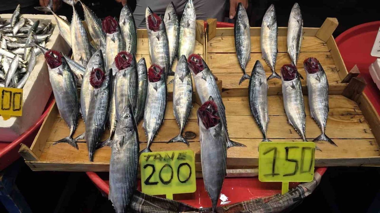 BALIK SEZONU ÖNCESİ TEZGÂHLAR HAREKETLENDİ