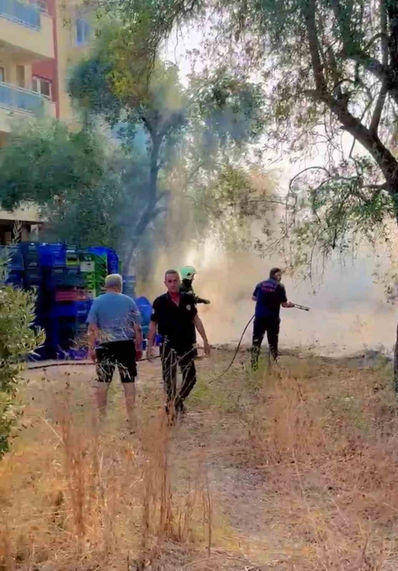 MUĞLA’NIN MİLAS İLÇESİNDE ZEYTİNLİK ALANDA KURU OTLARIN TUTUŞMASI İLE BAŞLAYAN YANGIN, ORMAN VE...
