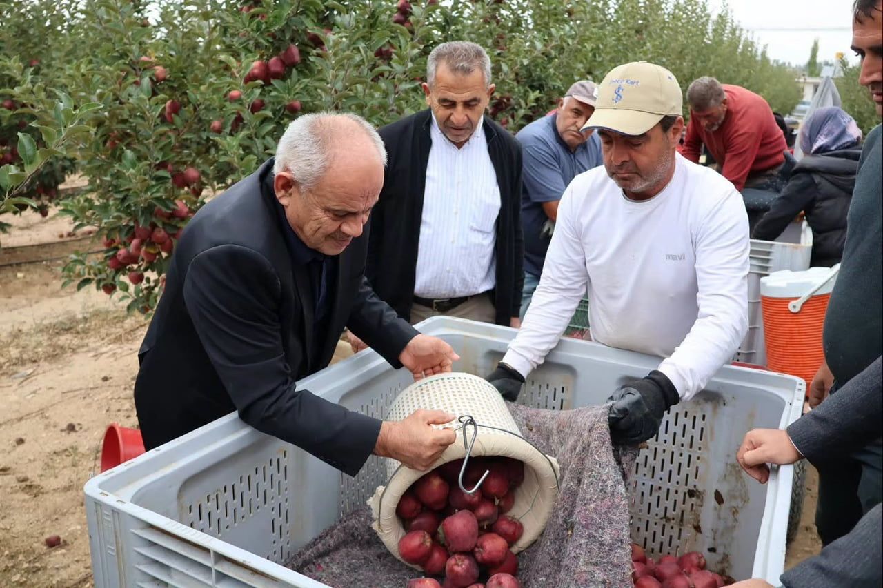 TÜRKİYE'NİN ÖNEMLİ ELMA ÜRETİM MERKEZLERİNDEN OLAN KAYSERİ'NİN YAHYALI İLÇESİNDE ELMA HASADI...
