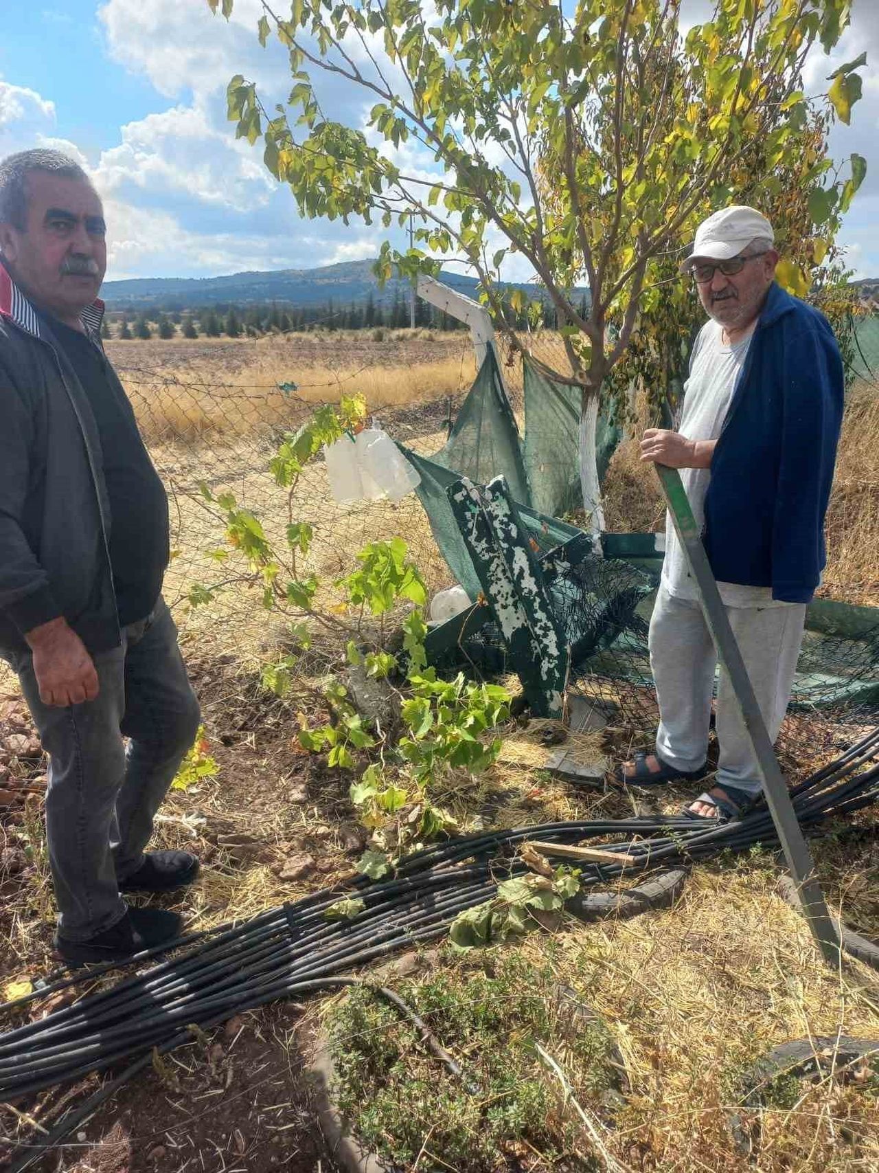 ESKİŞEHİR'DE KİMLİĞİ BELİRSİZ KİŞİ VEYA KİŞİLER TARAFINDAN BAHÇE TELLERİNE ZARAR VERİLEN...