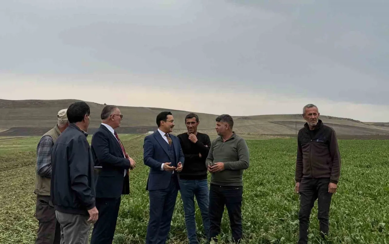 AKYAKA KAYMAKAMI DEMİRTAŞ, ŞEKER PANCARI HASADINA KATILDI(KARS-İHA)