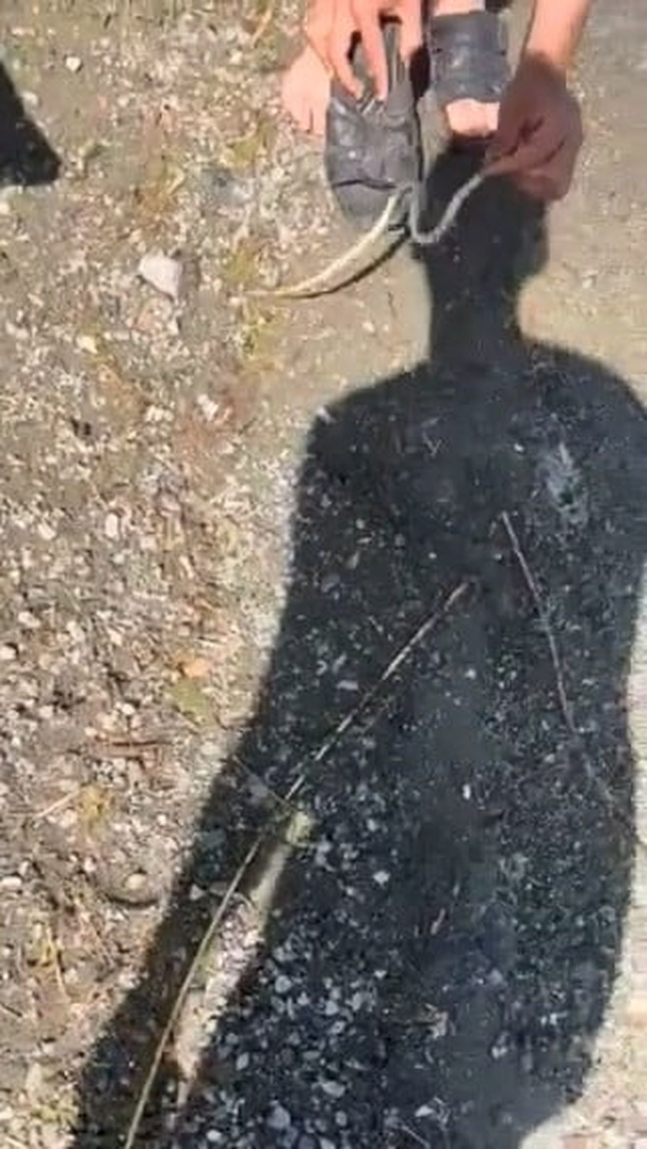 ELAZIĞ’DA BİR VATANDAŞ, GÖL KENARINDA YAKALADIĞI KÜÇÜK YILANLA ARKADAŞINI KOVALADI. O ANLAR...