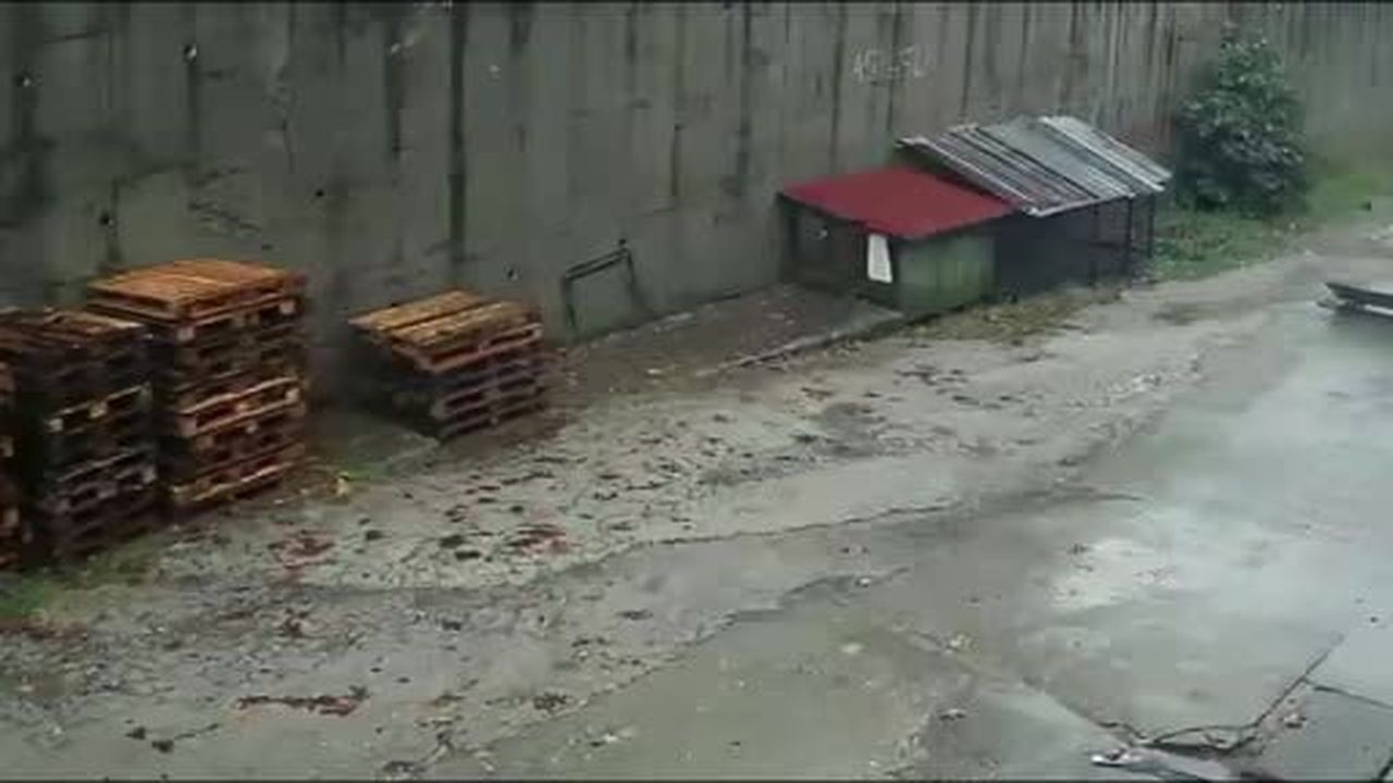 Zonguldak’ta istinat duvarının çöktüğü anlar kamerada: Köpekler telef oldu, 2 araç enkaz altında...