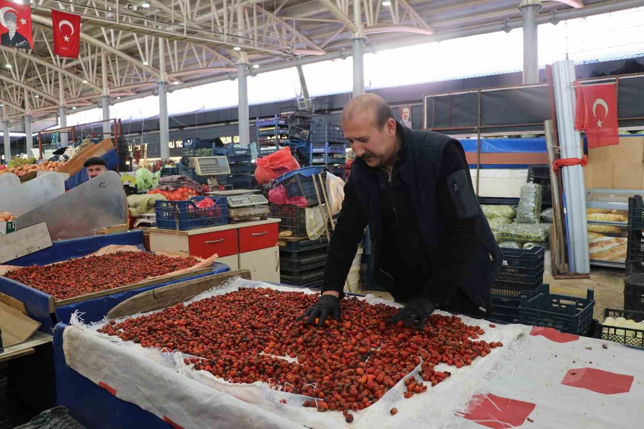 TOPLANAN KUŞBURNULAR HALE GELDİ