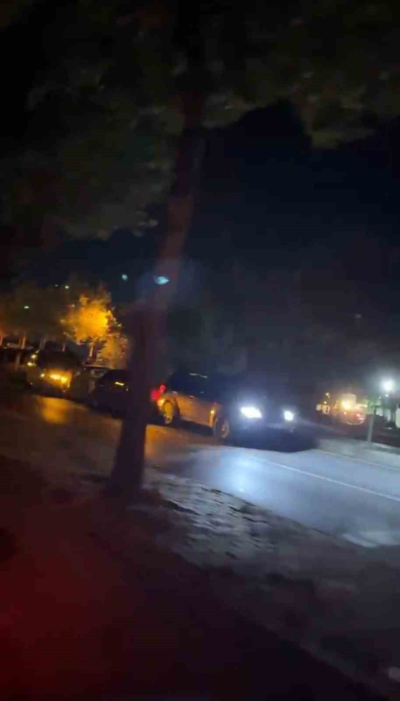 BOLU’DA, ANİDEN YOLA ÇIKAN 2 KÖPEĞE ÇARPMAMAK İÇİN SUV SÜRÜCÜSÜNÜN FREN YAPMASI SONUCU 5 ARACIN...
