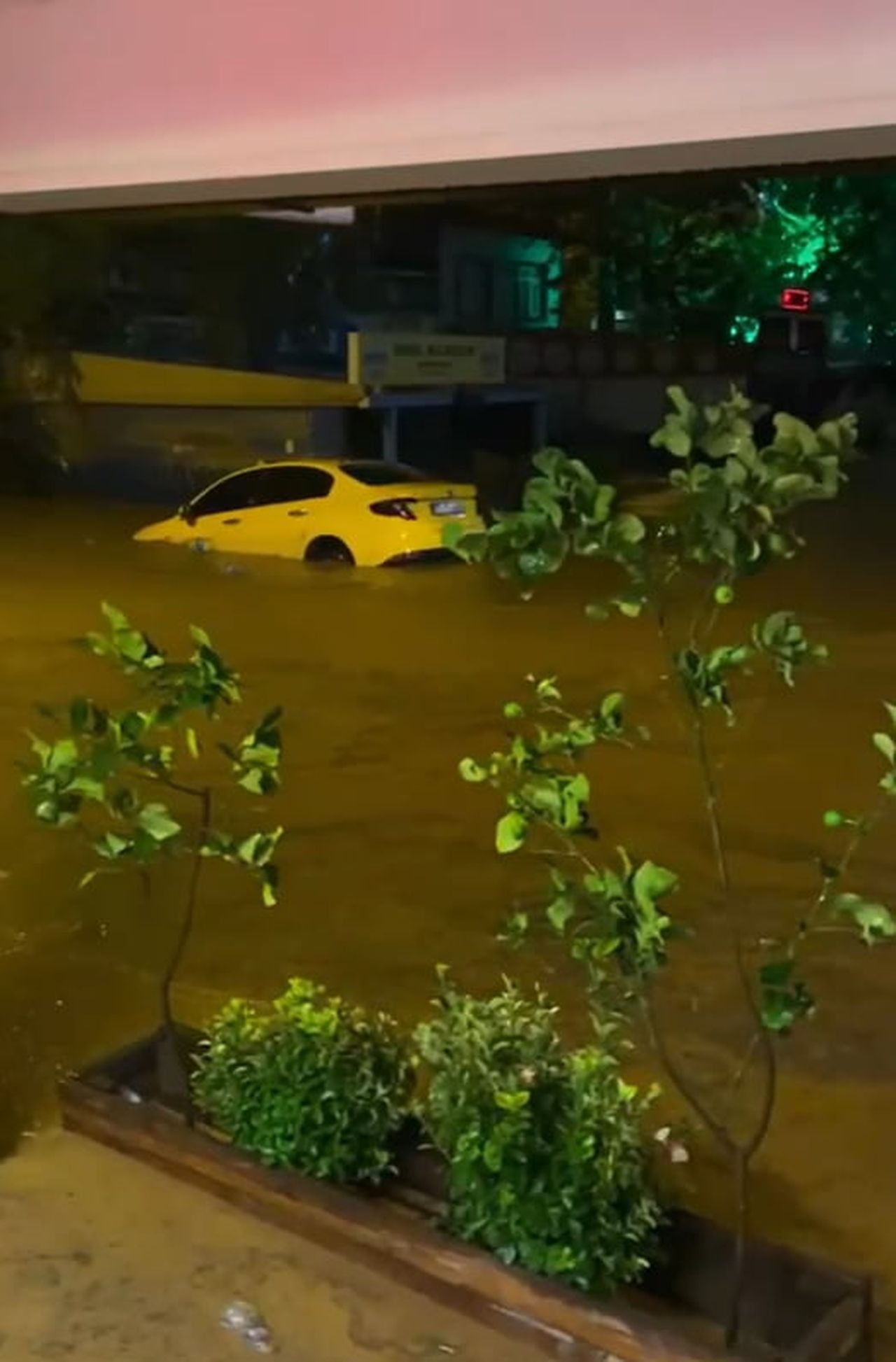 YALOVA’NIN ARMUTLU İLÇESİNDE ETKİLİ OLAN SAĞANAK YAĞIŞ ETKİLİ OLUYOR. YAĞIŞ NEDENİYLE DERELER...