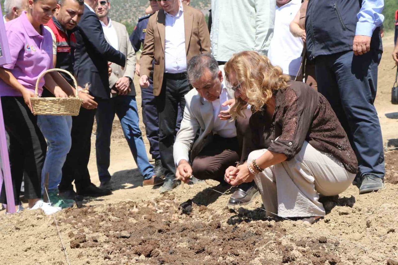 UNESCO DÜNYA MİRASI LİSTESİ'NDE YER ALAN KARABÜK'ÜN SAFRANBOLU İLÇESİNDE, "DÜNYANIN EN PAHALI...