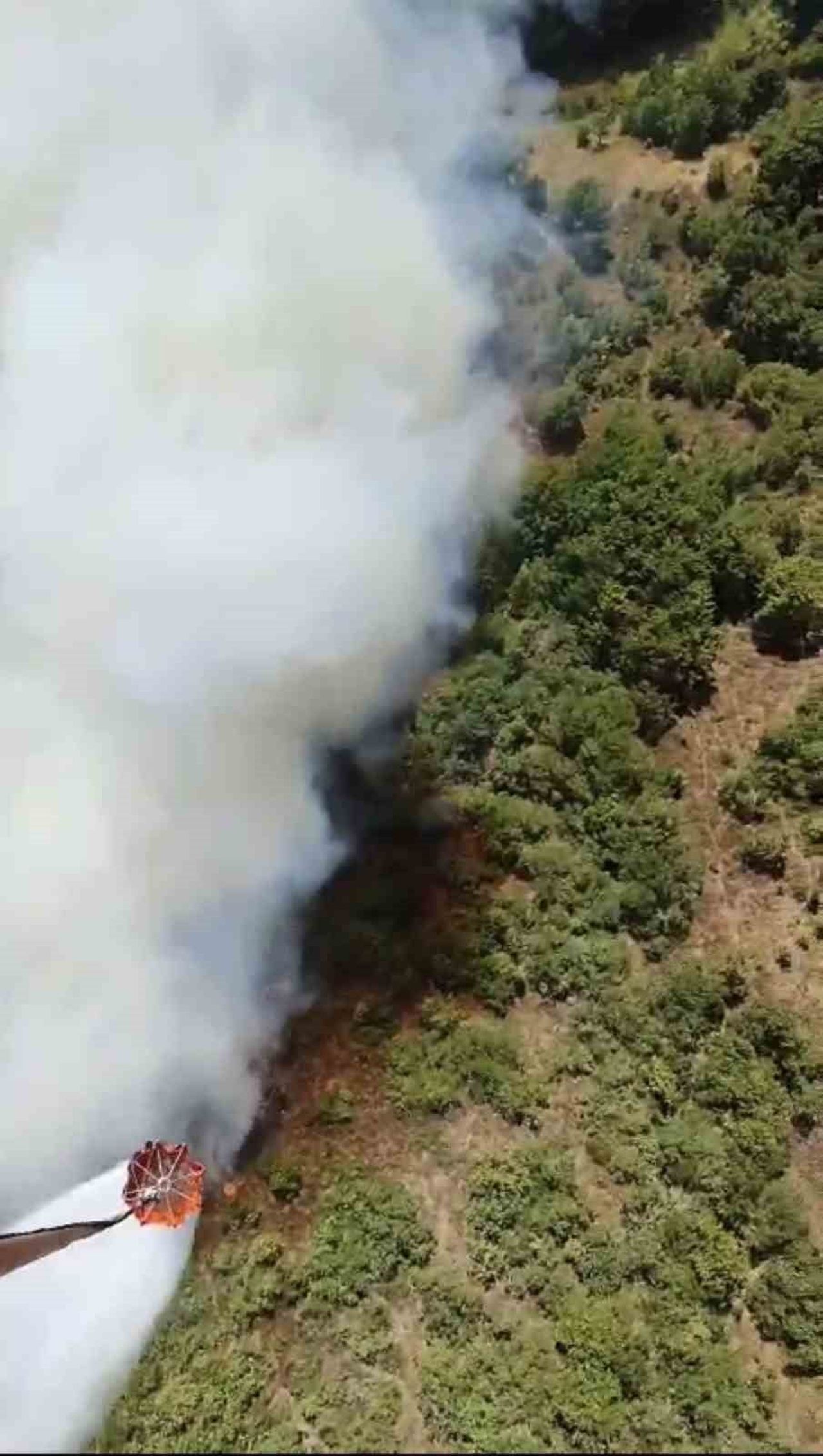 YENİŞEHİR’DE OTLUK ALANDA BAŞLAYAN YANGIN ORMANA SIÇRADI