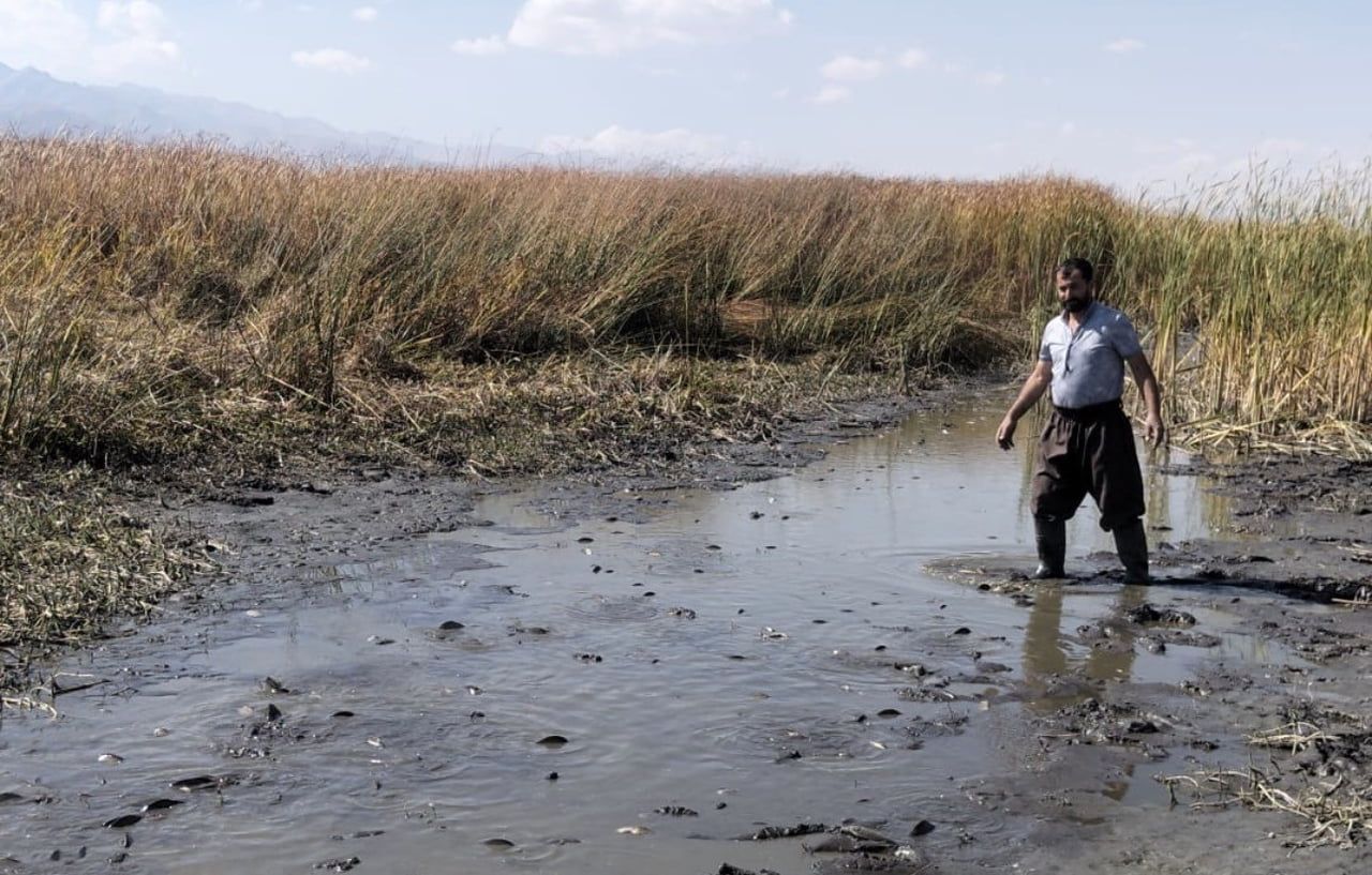 BÖLGEDEKİ DUYARLI VATANDAŞLAR, BALIKLARIN TAMAMEN TELEF OLMAMASI İÇİN İLGİLİ KURUMLARIN ACİLEN...