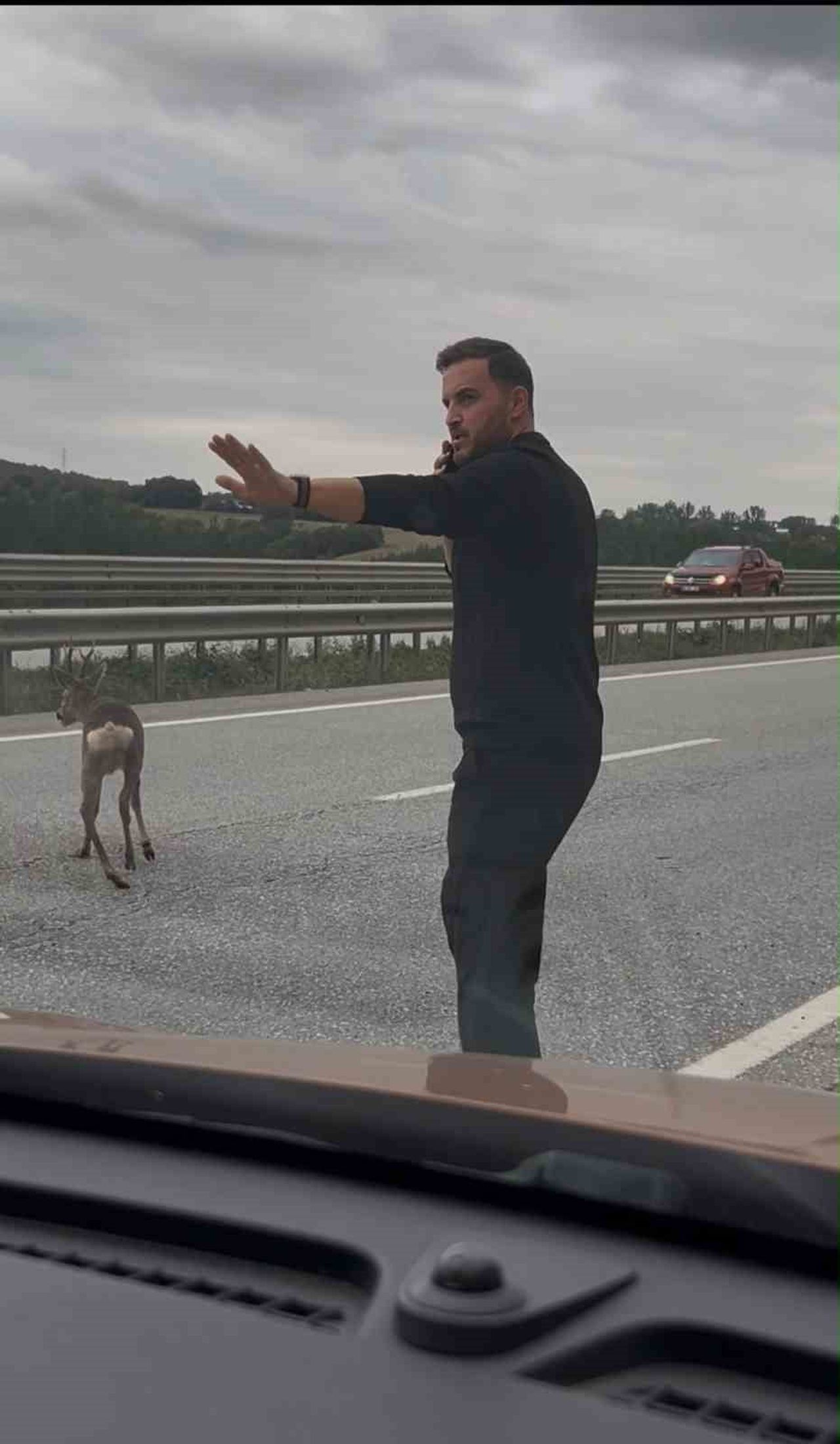 KAVAK'TA ÖRNEK DAVRANIŞ! YARALI GEYİĞİN YARDIMINA KOŞTULAR