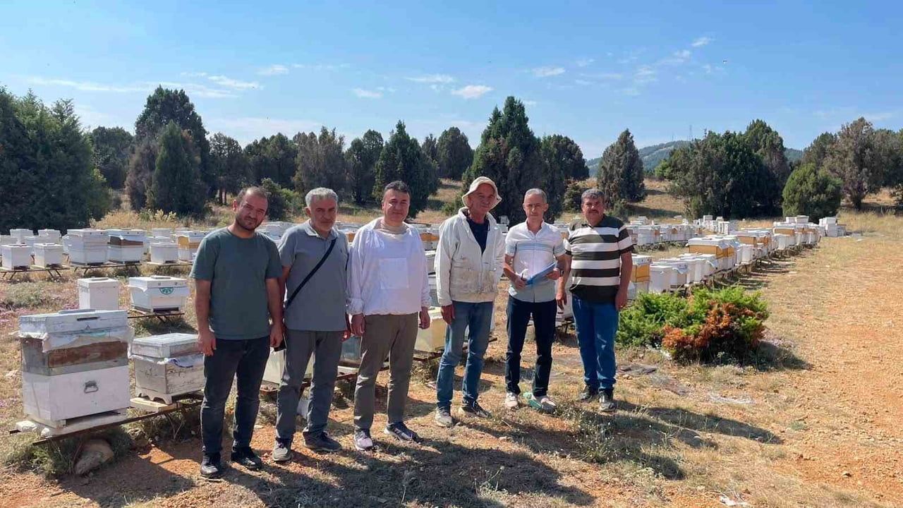 BEYŞEHİR İLÇE TARIM VE ORMAN MÜDÜRLÜĞÜ VETERİNER HEKİMLERİ İLE TEKNİK PERSONELİN KATILDIĞI SAHA...