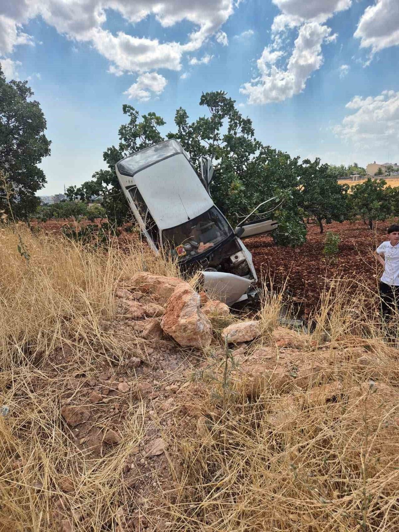 KAZADA OTOMOBİL FISTIK AĞACINDA ASILI KALDI: 2 YARALI