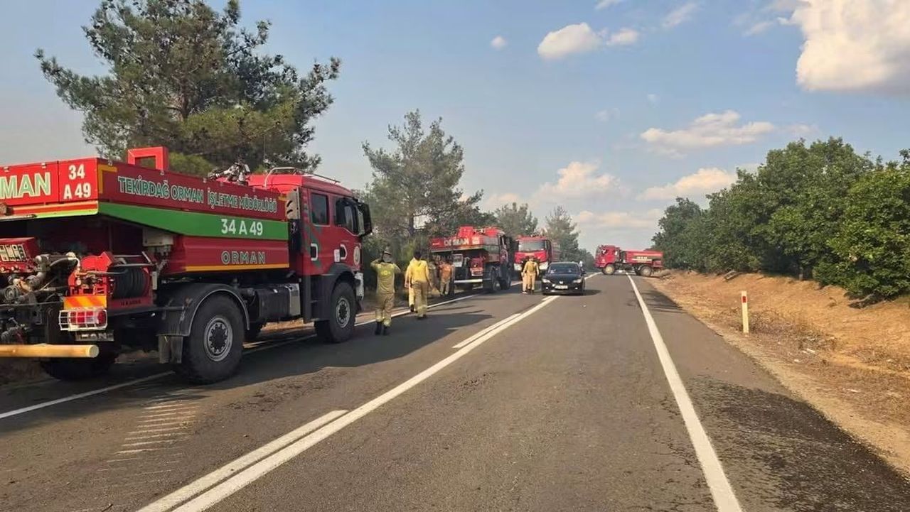 MERİÇ’TE ORMAN YANGINI KONTROL ALTINA ALINDI