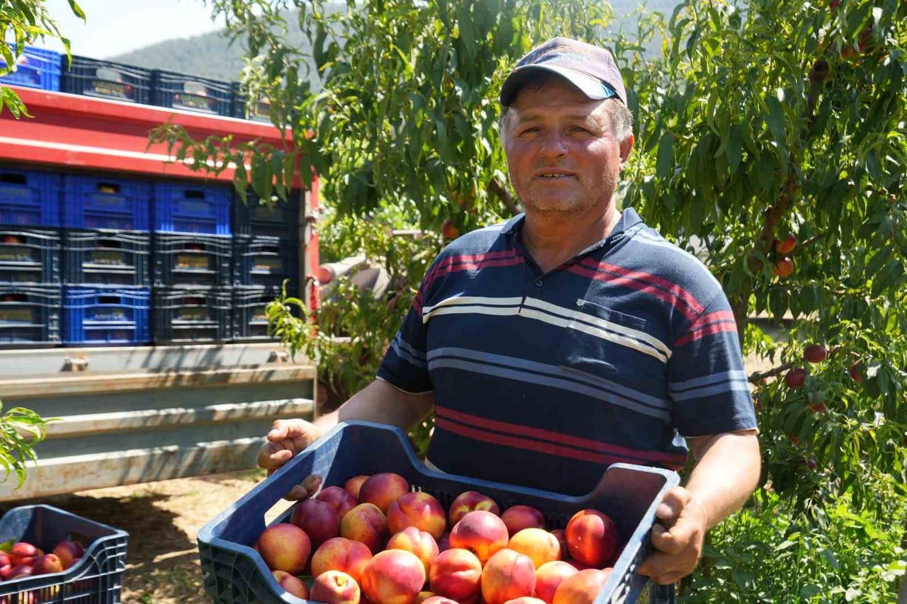MEYVE SUYU FABRİKALARI ÜRETİCİDEN ALDIKLARI ÜRÜNÜN FİYATLARI İYİCE DİBE VURDU