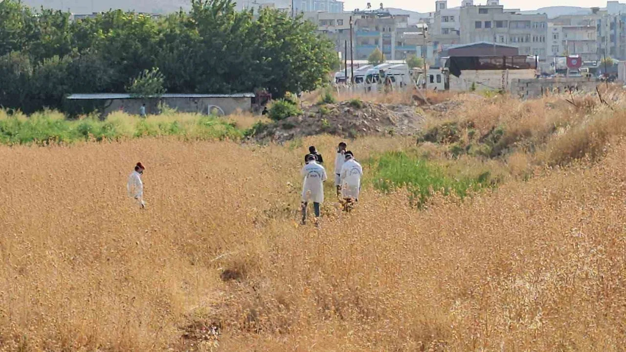 ŞANLIURFA'DA TARLADAN GELEN KÖTÜ KOKULAR ÜZERİNE BÖLGEYE GİDEN VATANDAŞLAR, BOŞ ARAZİDE BİR ERKEK...