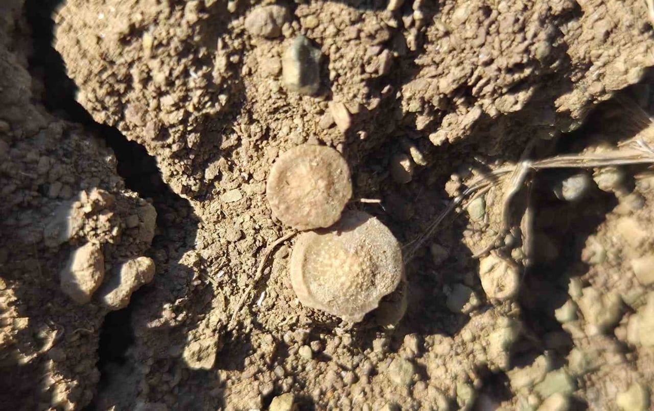 YOZGAT’IN SORGUN İLÇESİNE BAĞLI ARAPLI KASABASINDA YAŞAYAN VE HAYVANCILIKLA UĞRAŞAN LOKMAN ATIL...