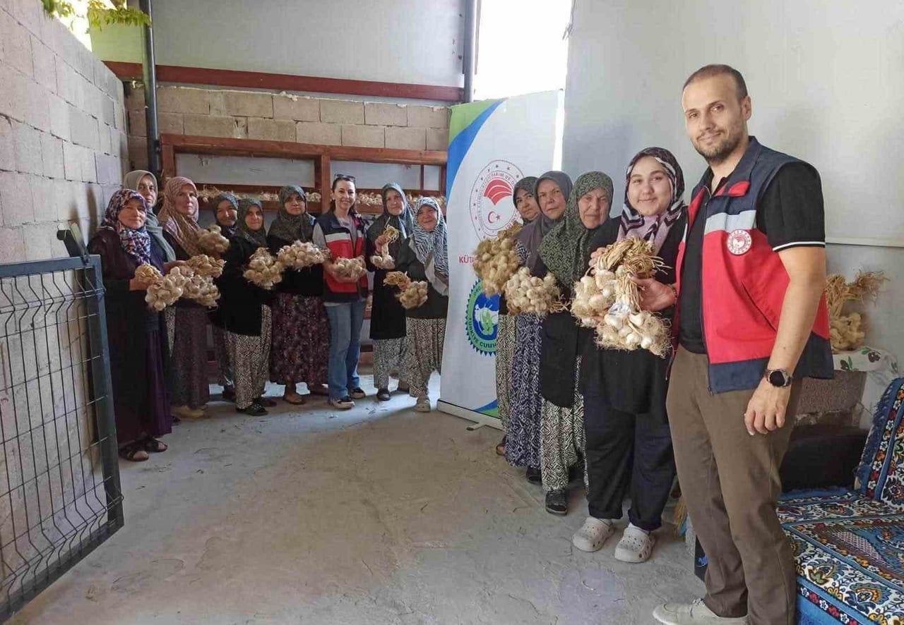 DOMANİÇ’TE SARIMSAK ÜRETİCİLERİNE ORGANİK TARIM DESTEĞİ