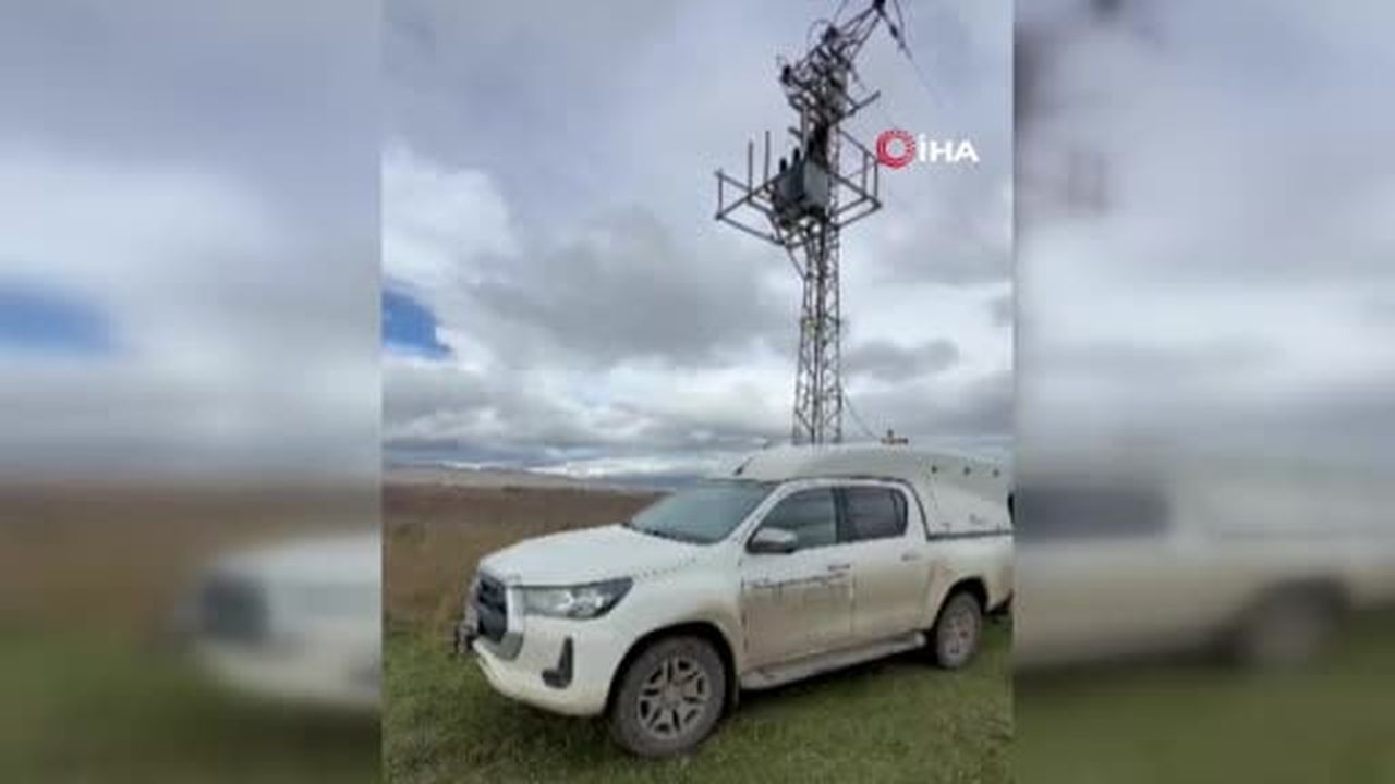 Erzurum’da elektrik direğine çıkan yavru bozayı akıma kapılarak telef oldu
