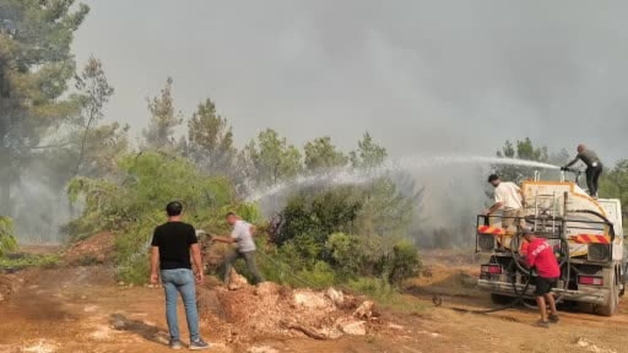 Aksu'da orman yangını