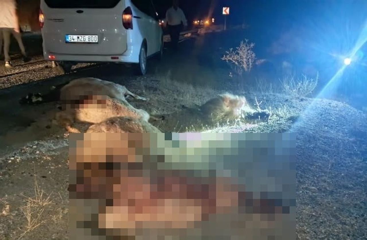 HAKKÂRİ-VAN KARA YOLUNUN OTOMOBİLİN KOYUN SÜRÜNE ÇARPMASI SONUCU, YARALANMA YAŞANMAZKEN, ÇOK...