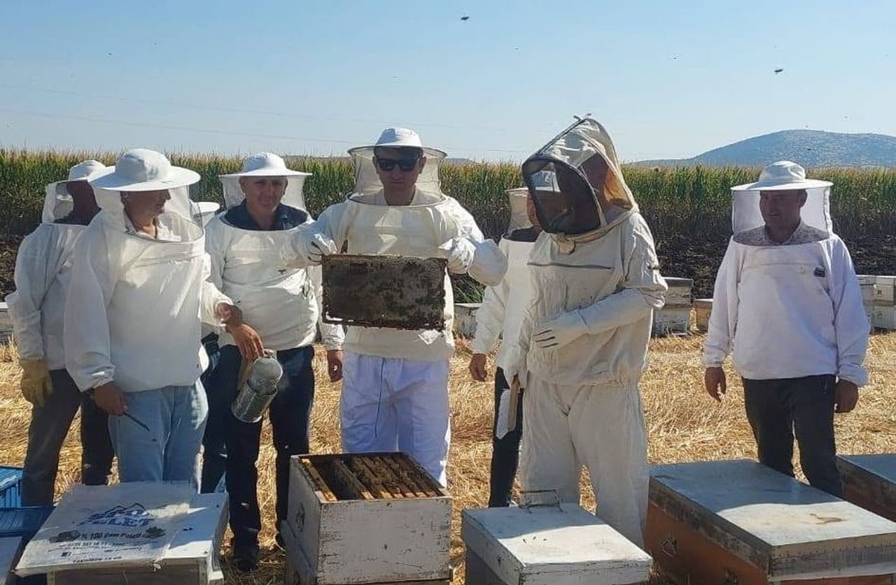 MANİSA’NIN SARUHANLI İLÇESİNDE KAYMAKAM FATİH ÖZCAN, HALİTPAŞA MAHALLESİ’NDE GERÇEKLEŞTİRİLEN BAL...