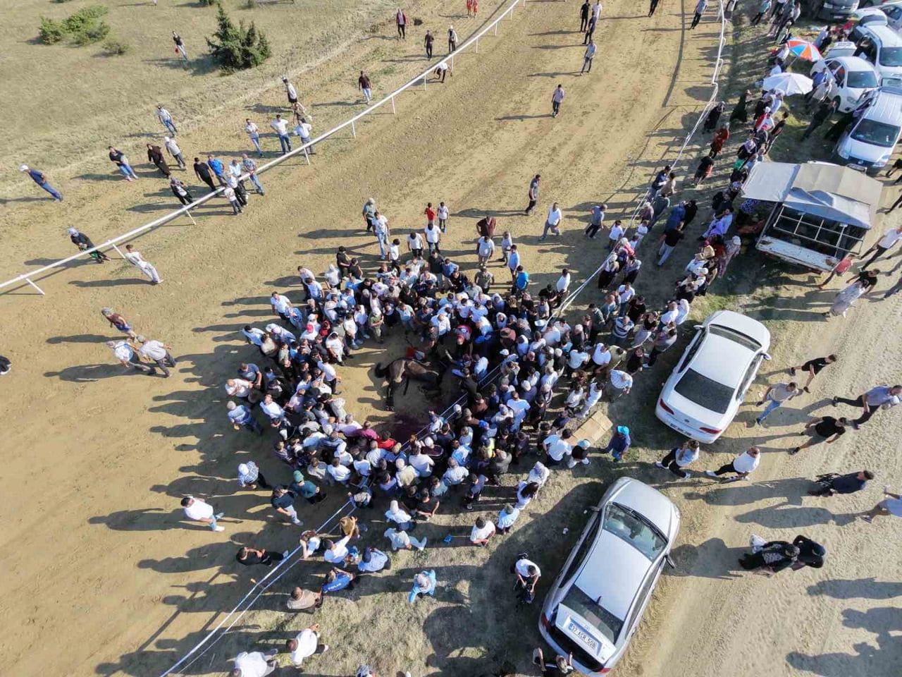 ÇARPIŞAN ATLAR TELEF OLDU