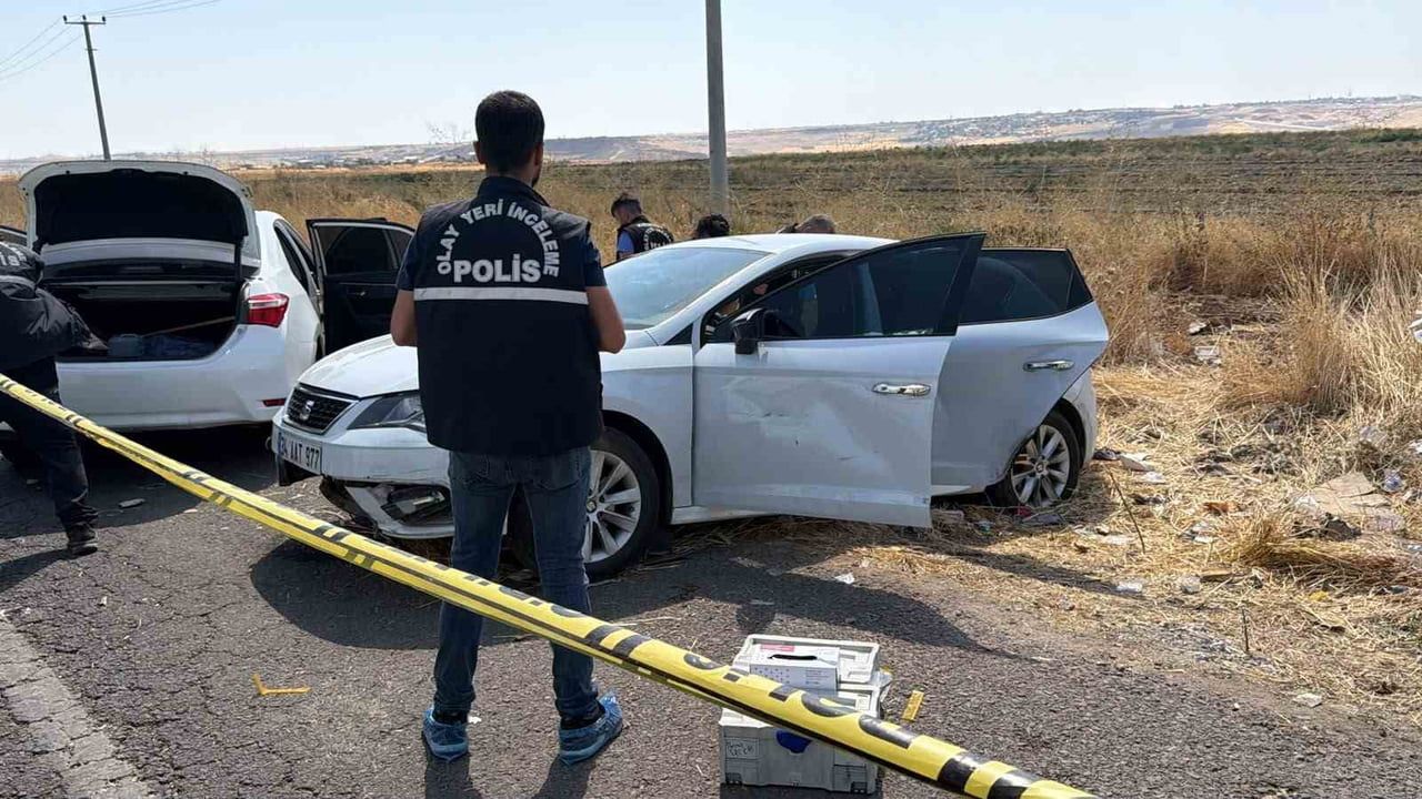 DİYARBAKIR'DA PARKTA TARTIŞTIĞI ESKİ EŞİNİ ÖLDÜREN ŞAHIS, POLİSLERDEN KAÇARKEN HAYATINA SON...