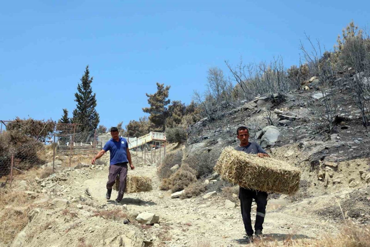 MUĞLA BÜYÜKŞEHİR BELEDİYESİ, MUĞLA’NIN SEYDİKEMER İLÇESİNDE 29 TEMMUZ’DA MEYDANA GELEN YANGININ...
