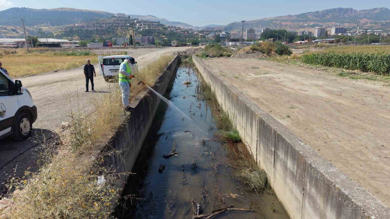 TOKAT BELEDİYESİ EKİPLERİ, SİVRİSİNEK VE HAŞERELERLE MÜCADELE KAPSAMINDA KENT GENELİNDEKİ ÜREME...