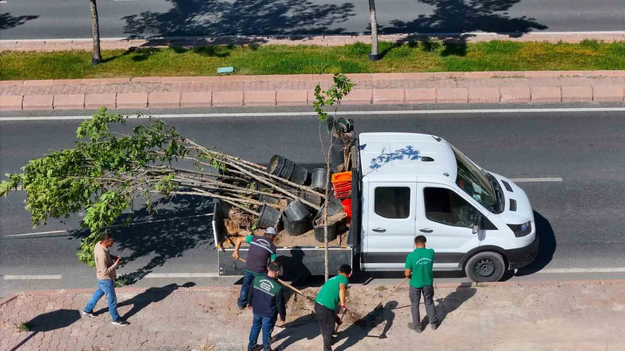 KAYSERİ BÜYÜKŞEHİR BELEDİYESİ; KENT GENELİNDE KURUYAN, HASTALANAN VE ÖMRÜNÜ TAMAMLAYAN AĞAÇLARIN...