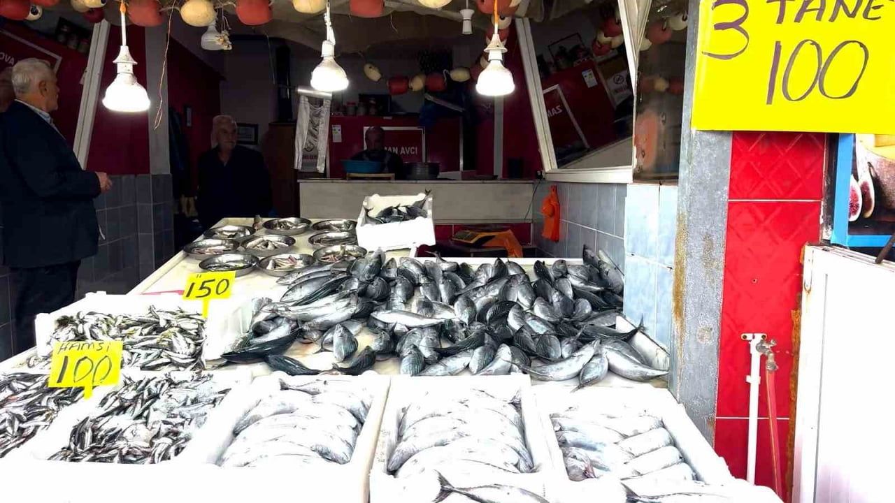DOĞU KARADENİZ'DE 2005 YILINDAN BU YANA GÖRÜLEN EN YOĞUN PALAMUT AKINI YAŞANIRKEN, AĞLARIN DOLMASI...