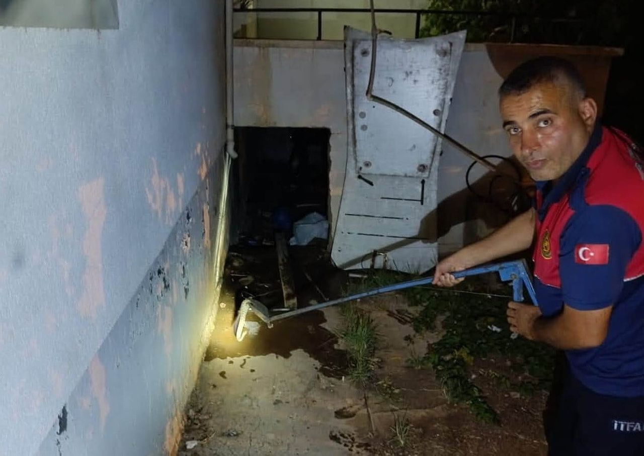 ADIYAMAN’IN BESNİ İLÇESİNDE BİR EVİN DEPO BÖLÜMÜNE GİREN YILAN, PANİĞE NEDEN OLDU.