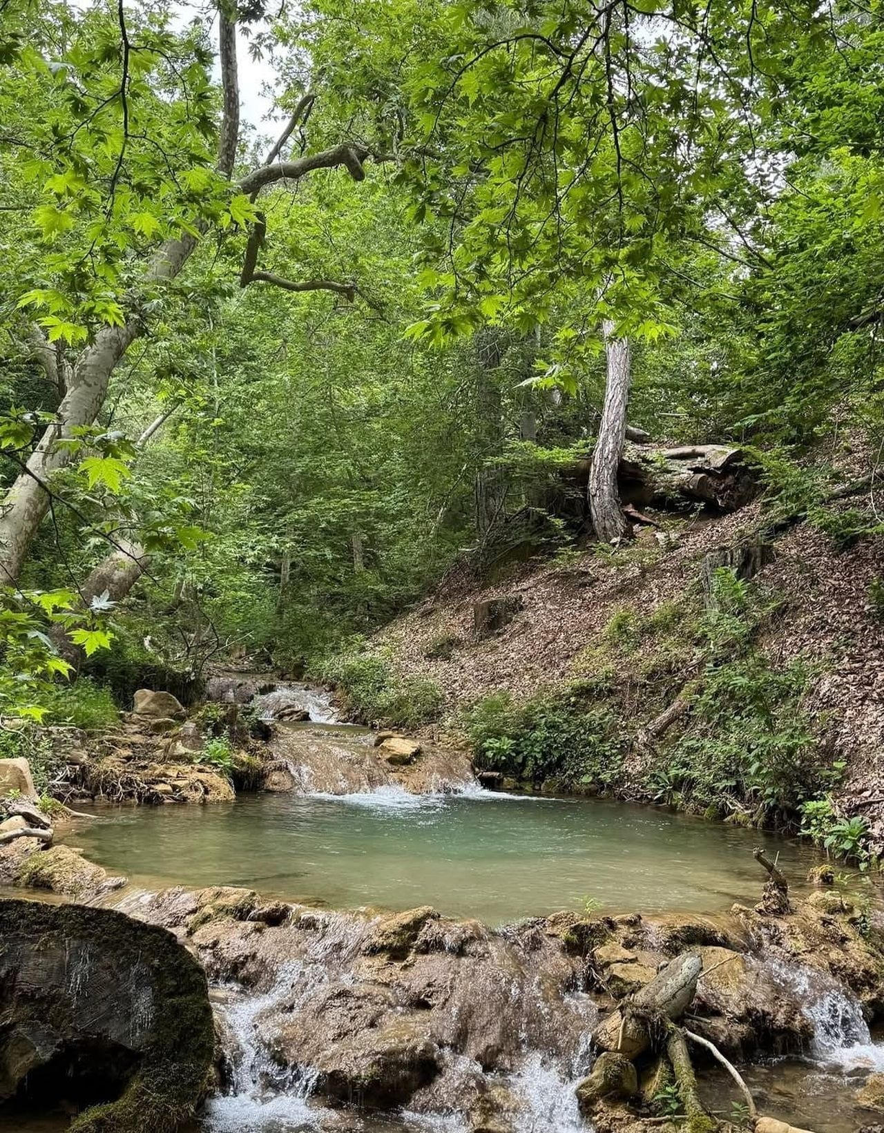 KAHRAMANMARAŞ’IN ANDIRIN İLÇESİNDE BULUNAN FINDIKLI DERE VE HASTANE PINARI, DOĞAL GÜZELLİKLERİYLE...