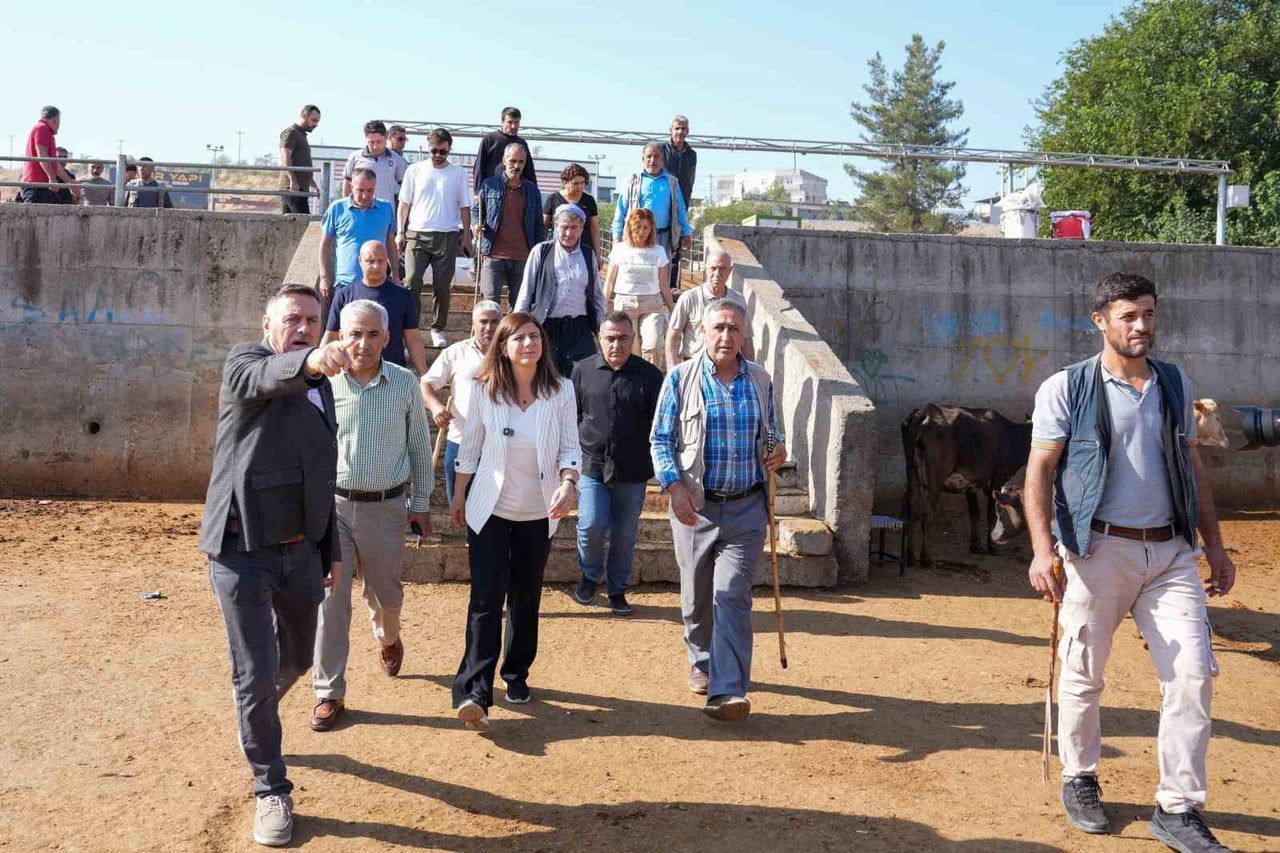 DİYARBAKIR BÜYÜKŞEHİR BELEDİYESİ EŞBAŞKANI SERRA BUCAK, HAYVAN BORSASINDA ESNAF VE VATANDAŞLARIN...
