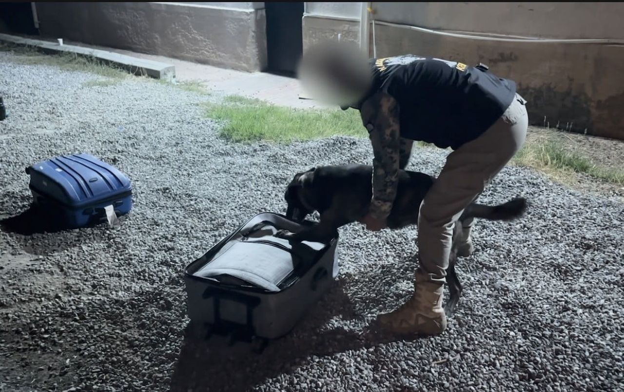 IĞDIR’DA UYUŞTURUCU OPERASYONU DÜZENLENDİ.