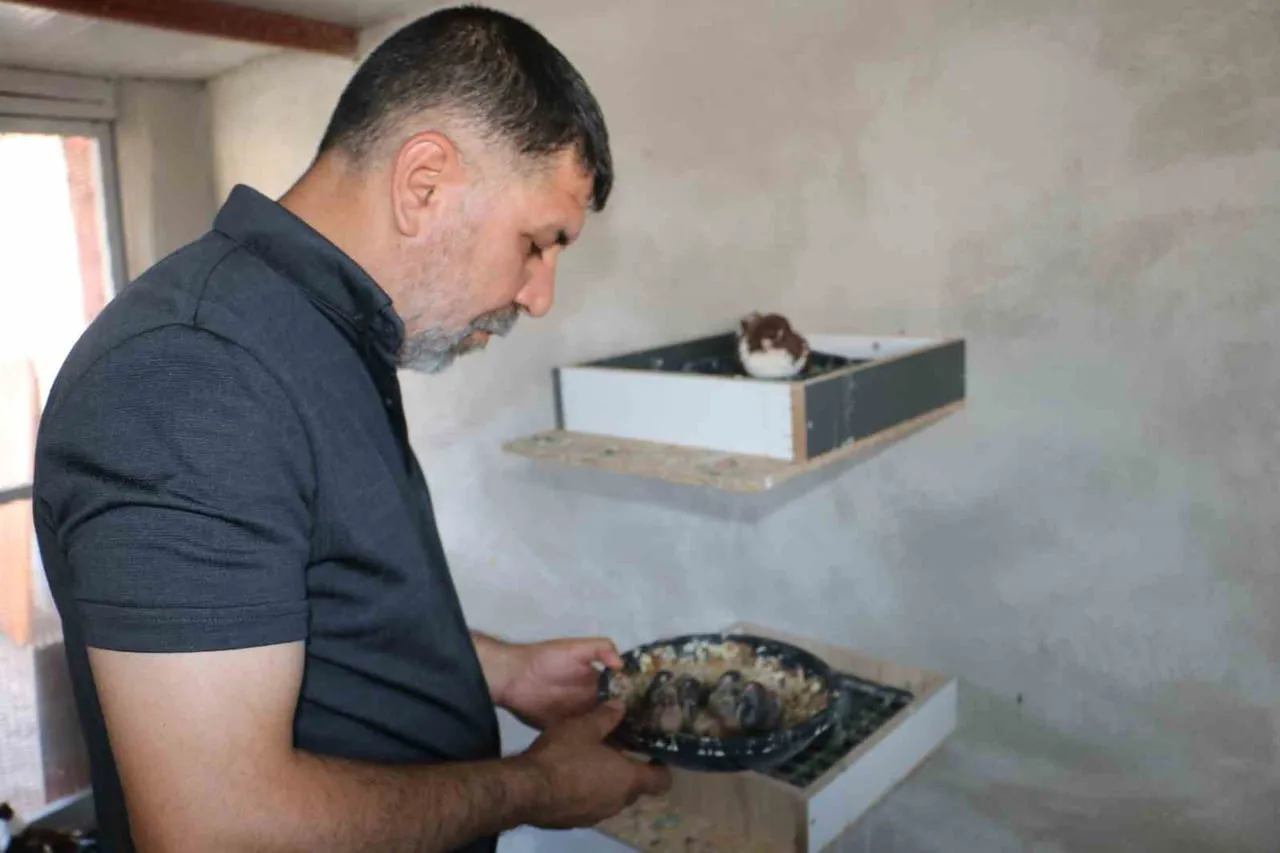 TÜRKİYE’DE İLK OLMA ÖZELLİĞİ TAŞIYAN GÜVERCİN OTELİ, 12 OCAK 2026 PAZARTESİ GÜNÜ ÇATI KATINDA...