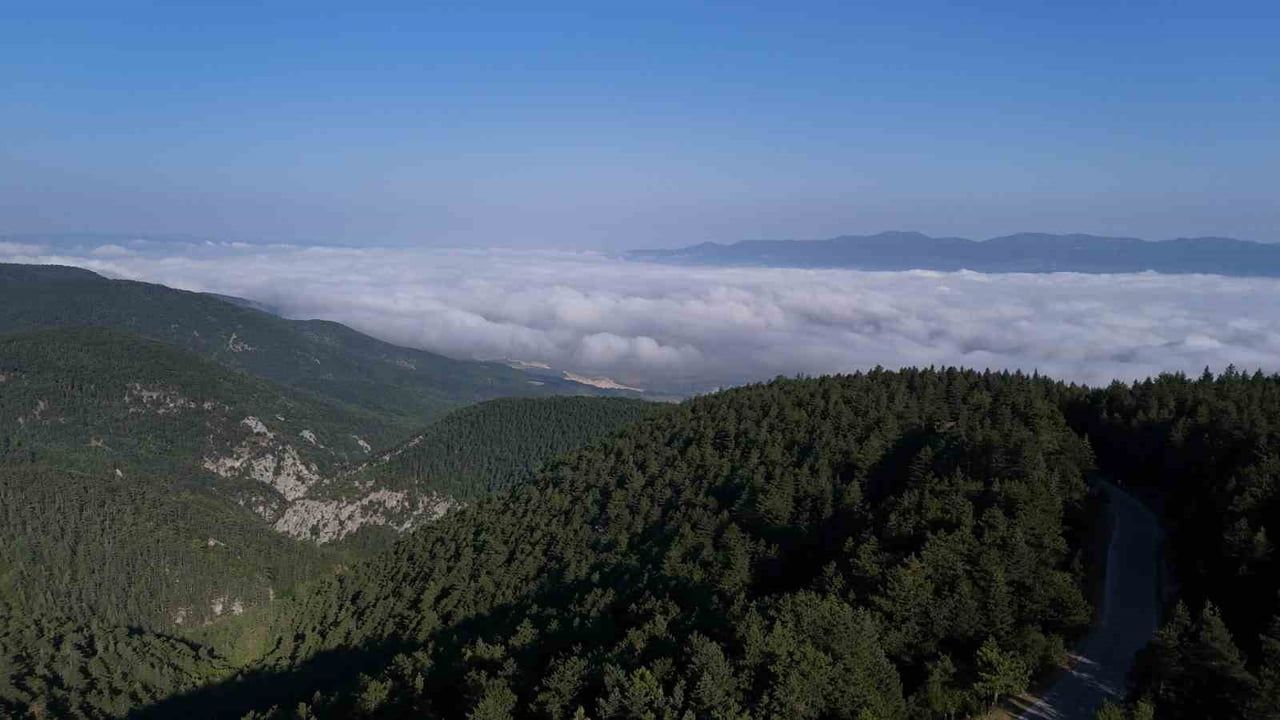 BOLU’NUN EN YÜKSEK NOKTALARINDAN BİRİ OLAN YAKLAŞIK 1500 RAKIMLI DÜVENLİK YAYLASI’NDA BULUTLARIN...