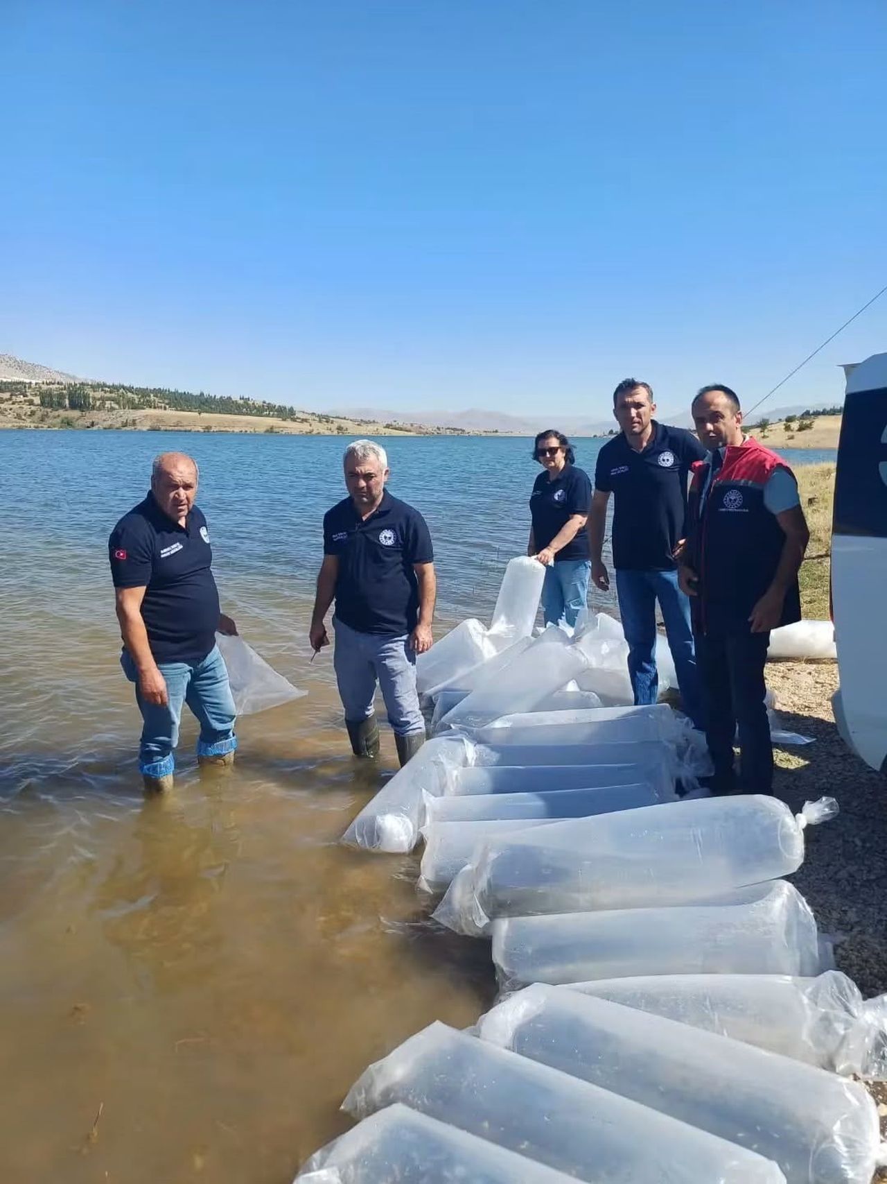 BURDUR'DA TEFENNİ ÇAYLI GÖLETİ İLE KARAMANLI BARAJ GÖLÜ'NE YAVRU SAZAN BALIKLARI BIRAKILDI.