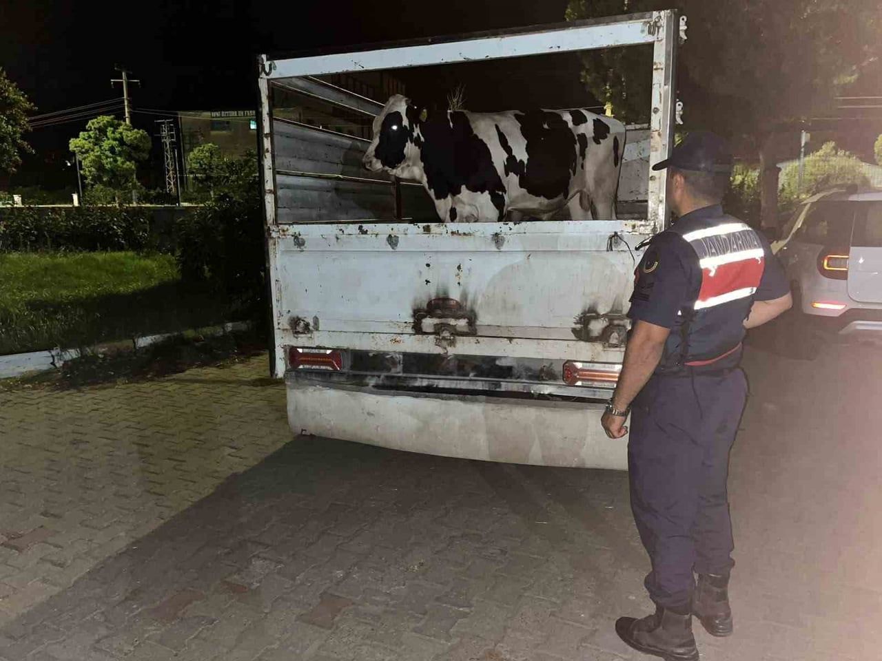 AYDIN’IN ÇİNE İLÇESİNDE 365 BİN TL KARŞILIĞINDA SATTIĞI 3 BÜYÜKBAŞ HAYVANININ BEDELİNİN 350 BİN...