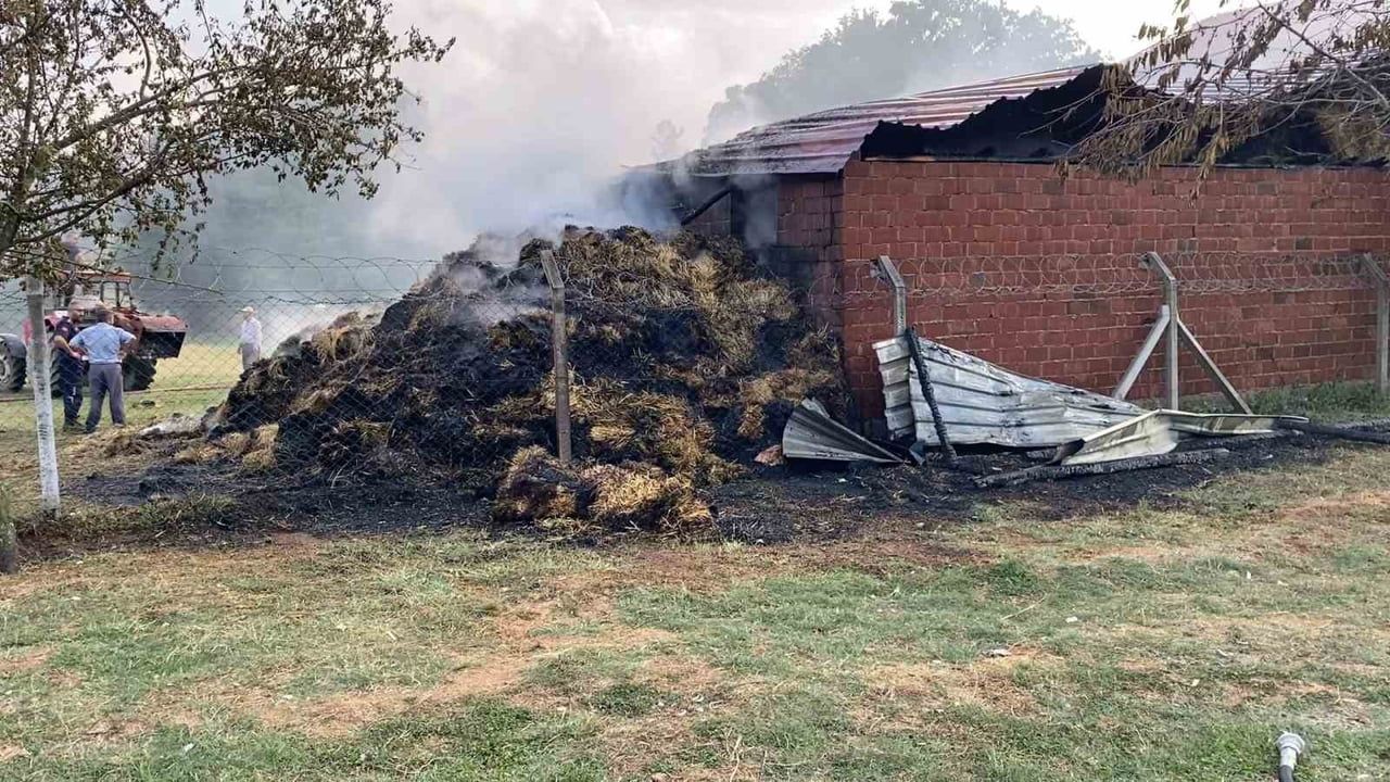 BURSA’DA SAMANLIK ALEVLERE TESLİM OLDU