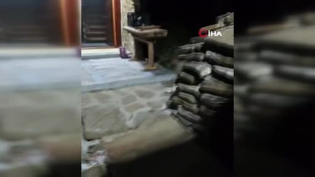 Bahçesine gelen tilki ile dost oldu