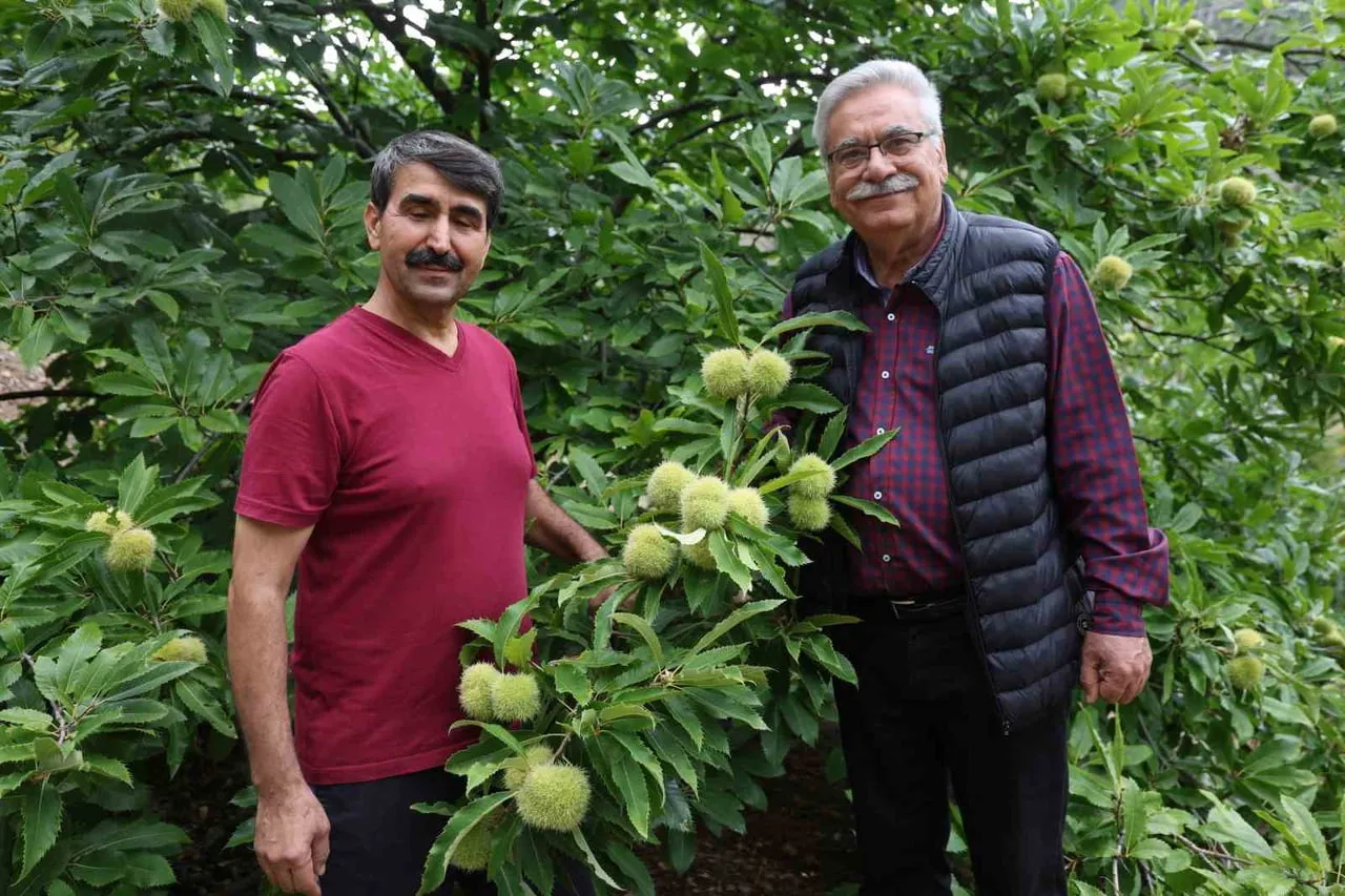 NACİ YILDIZAN (SOLDA) VE AHMET KAYTANCI (SAĞDA) BAHÇEYİ İNCELEDİ