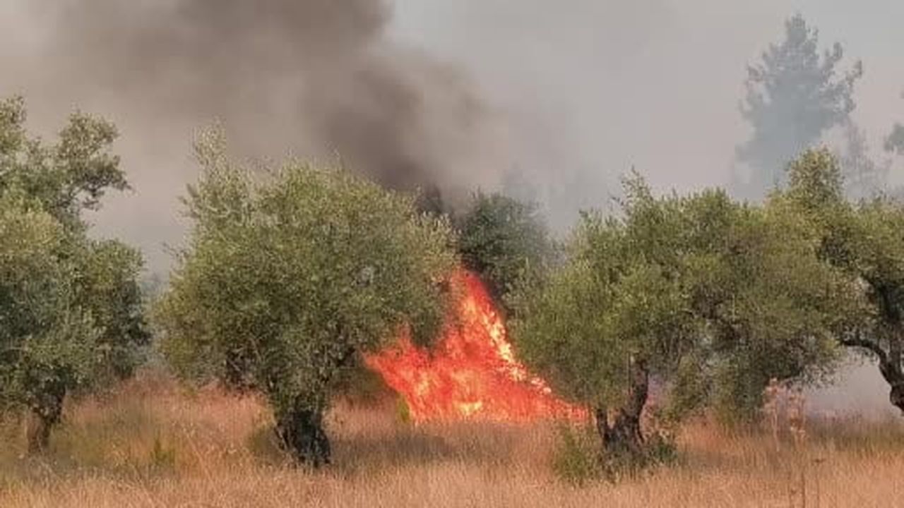 Aksu'daki orman yangında söndürme çalışmaları hız kesmeden devam ediyor