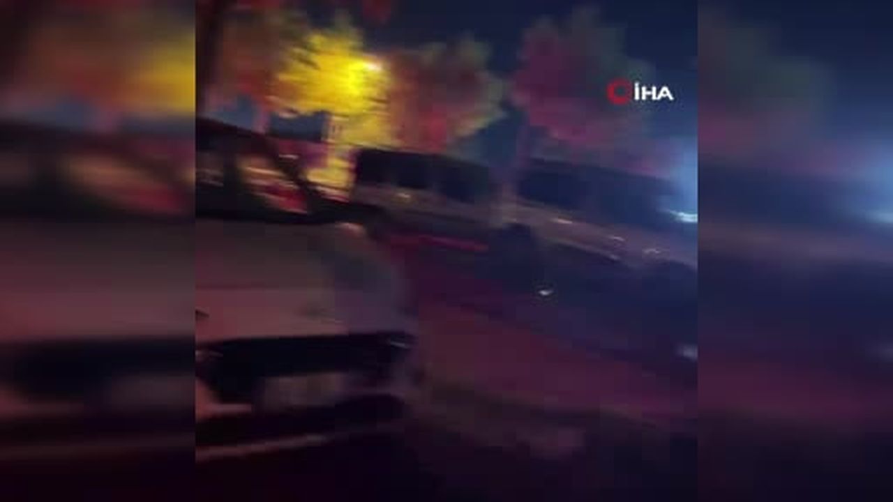 Bolu'da yola çıkan köpekler zincirleme kazaya neden oldu
