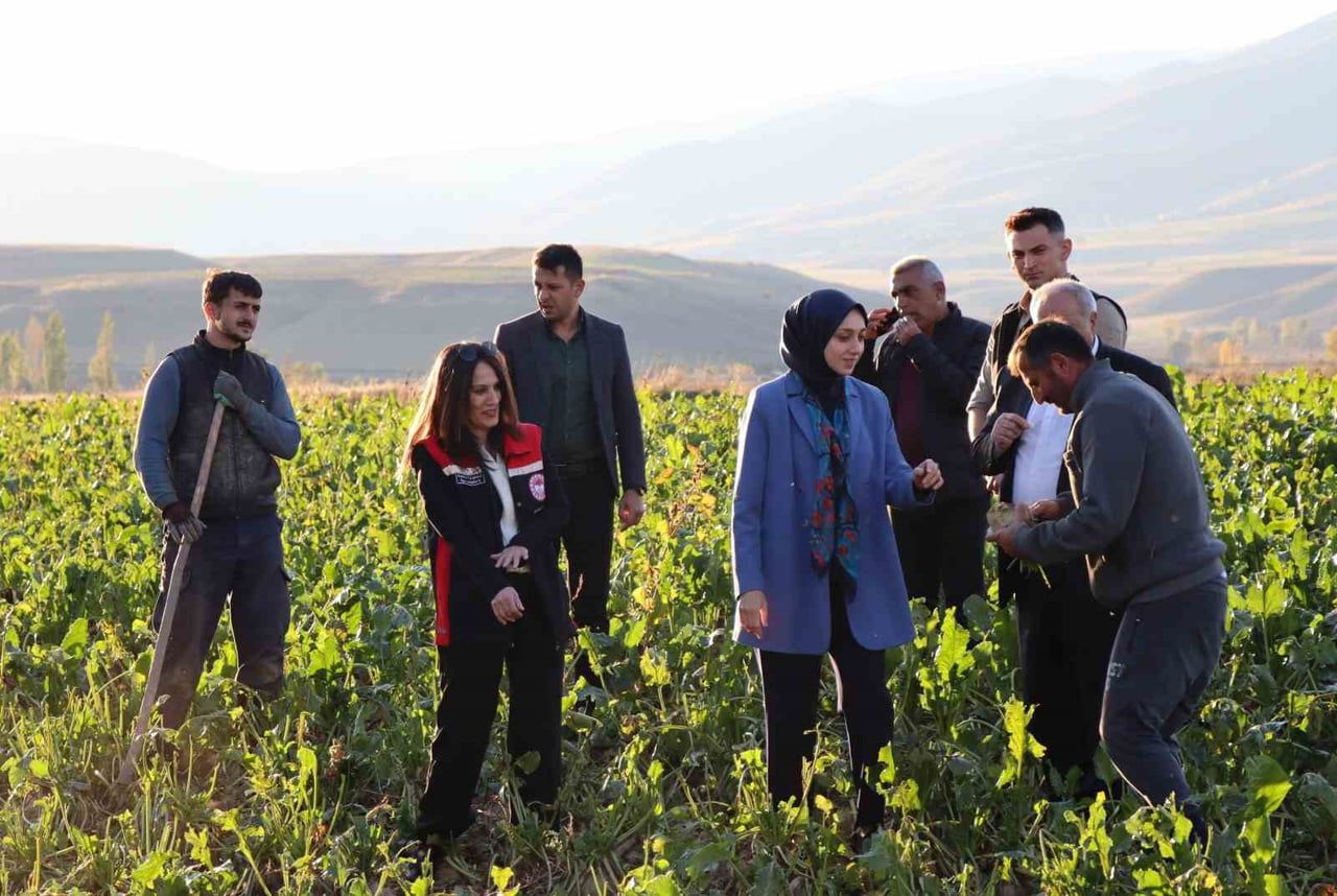 TERCAN KAYMAKAMI NESLİHAN KISA DUMAN, İLÇEDE FAALİYET GÖSTEREN ÇİFTÇİLERİ ZİYARET ETTİ